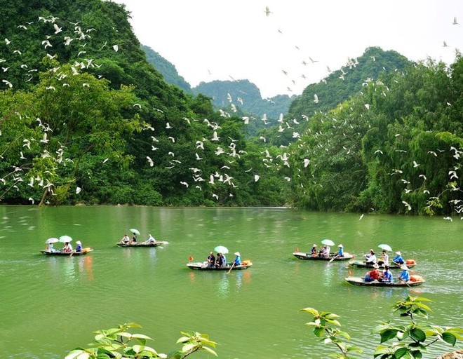 Những khu du lịch sinh thái hấp dẫn nhất Việt Nam - Ảnh 8.