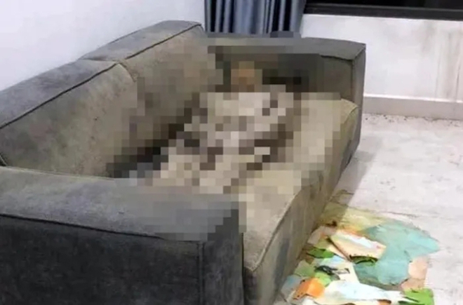 Vụ thi thể khô trên ghế sofa ở Hà Nội: Hé lộ nhiều tình tiết bất ngờ, xe ô tô của nạn nhân biến mất - Ảnh 1.