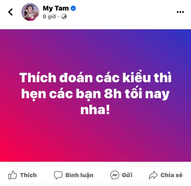 Mỹ Tâm đã căng: Hẹn gặp fan để nói rõ 1 điều sau khi đăng nhầm ảnh làm lộ Mai Tài Phến? - Ảnh 2.