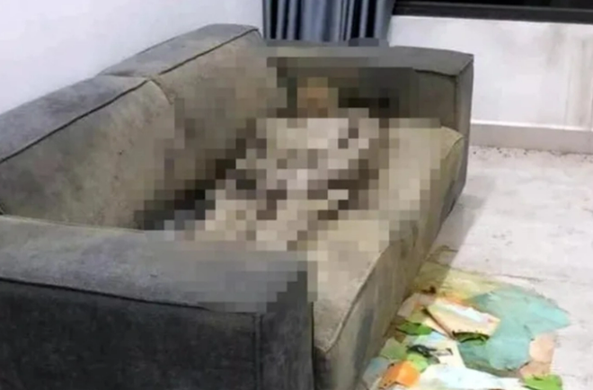 Thông tin mới vụ phát hiện thi thể chết khô trong căn hộ chung cư ở Hà Nội - Ảnh 1.
