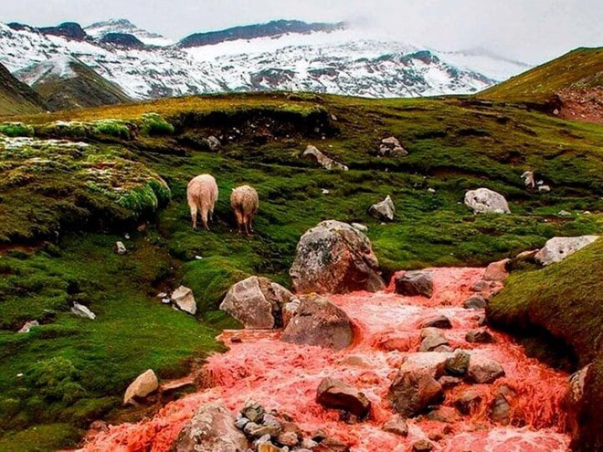 Bí ẩn dòng sông nhuộm đỏ ở Peru, tại sao chỉ đổi màu vào mùa mưa? - Ảnh 2.