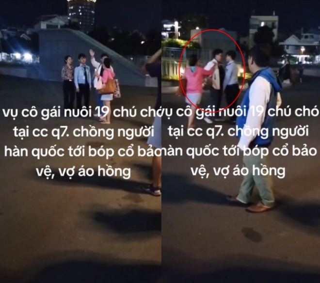 Vụ bị đuổi khỏi chung cư vì nuôi 19 con chó: Xuất hiện thêm các clip gây phẫn nộ của cô gái và chồng - Ảnh 2.