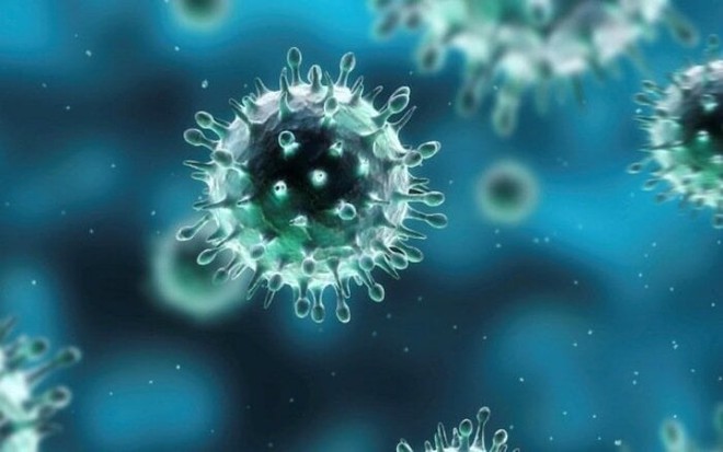 Lần đầu tiên Việt Nam có ca nhiễm cúm A(H9) trên người, Bộ Y tế chỉ đạo khẩn - Ảnh 1.