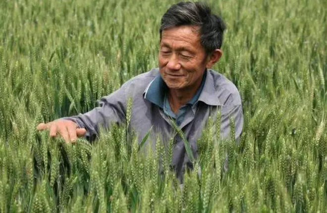 Bố kh&ocirc;ng biết chữ nhưng 2 con đều đỗ ĐH top đầu, nghe c&aacute;ch dạy con, nhiều người tấm tắc: Sao t&ocirc;i kh&ocirc;ng nghĩ ra? - Ảnh 1.