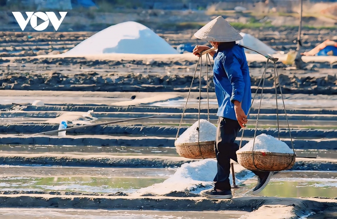 Khám phá Sa Huỳnh – nơi có bãi biển đẹp nhất Quảng Ngãi - Ảnh 16.