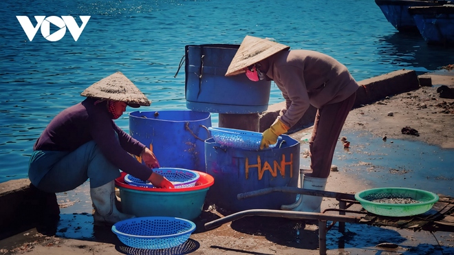 Khám phá Sa Huỳnh – nơi có bãi biển đẹp nhất Quảng Ngãi - Ảnh 6.