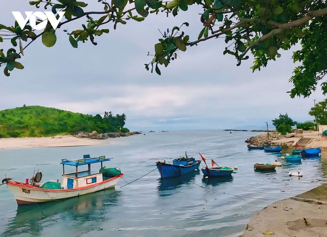 Khám phá Sa Huỳnh – nơi có bãi biển đẹp nhất Quảng Ngãi - Ảnh 13.
