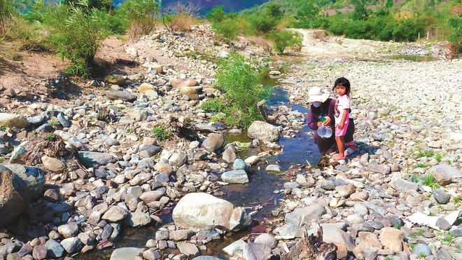 Cao điểm hạn hán tại Ninh Thuận, Bình Thuận: Hồ trơ đáy, cá chết khô - Ảnh 4.