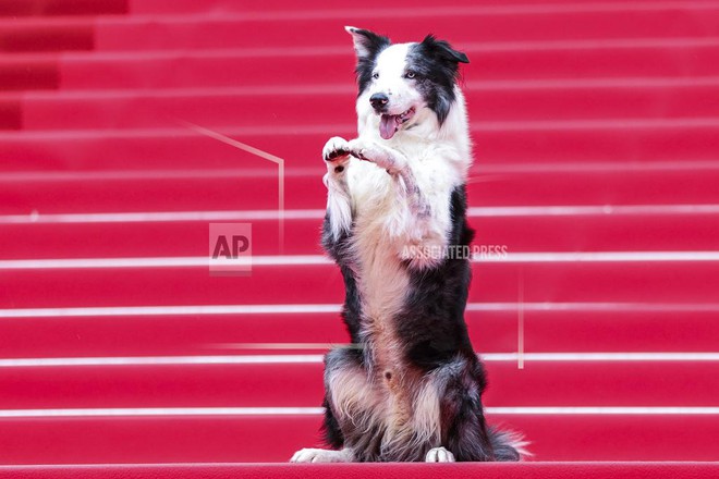 Thảm đỏ khai mạc LHP Cannes 2024: Heidi Klum hóa công chúa lấn lướt Quan Hiểu Đồng - Chompoo, sao Trung Quốc làm lố chiếm spotlight - Ảnh 38.