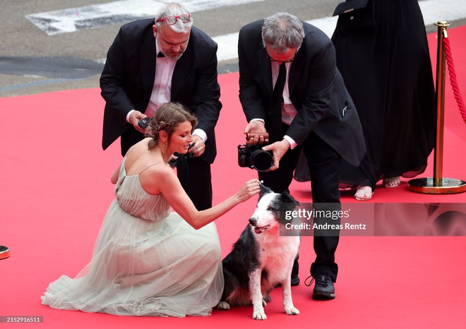 Thảm đỏ khai mạc LHP Cannes 2024: Heidi Klum hóa công chúa lấn lướt Quan Hiểu Đồng - Chompoo, sao Trung Quốc làm lố chiếm spotlight - Ảnh 39.