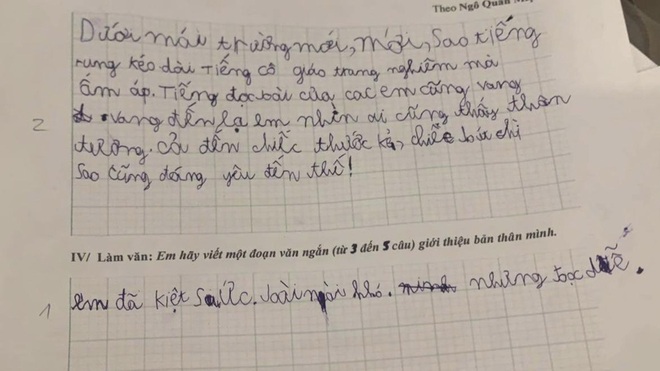 Đề bài yêu cầu viết 1 đoạn văn, học sinh ghi 4 chữ quá thật thà khiến cô giáo chỉ biết câm nín - Ảnh 1.