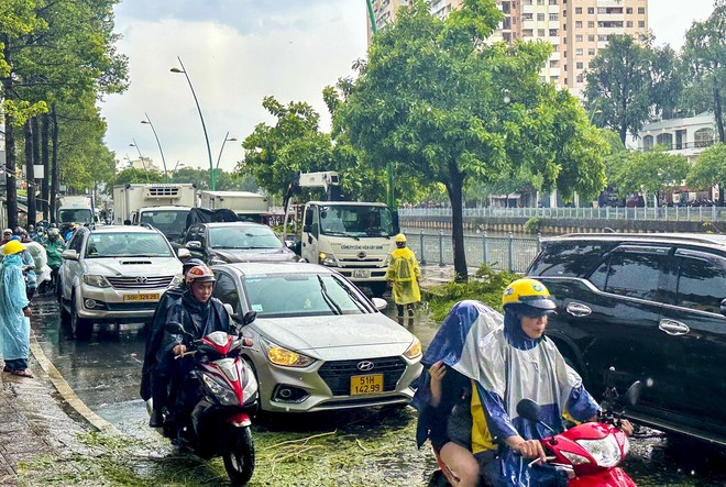 Cây xanh bật gốc, giao thông rối loạn trong cơn mưa lớn chiều nay ở TPHCM - Ảnh 2.
