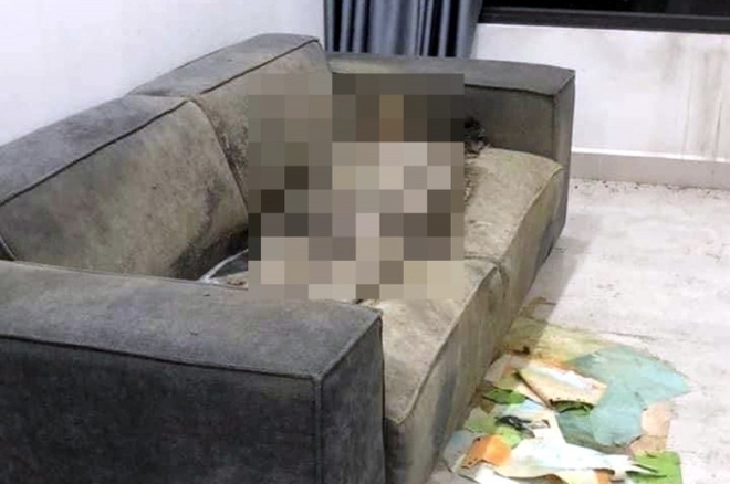 Vụ cô gái tử vong trong chung cư ở Hà Nội: Bác sĩ pháp y lý giải hiện tượng thi thể khô trên sofa - Ảnh 1.