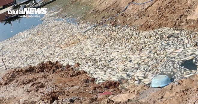 Hơn 100 tấn cá chết trắng lòng hồ Sông Mây, Đồng Nai - Ảnh 3.
