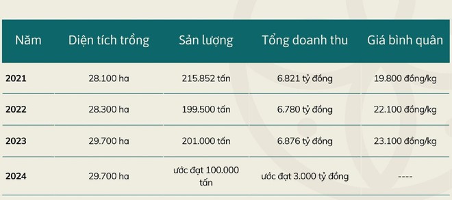 Mùa vải buồn ở Bắc Giang, mất nghìn tỷ đồng vì cây  ‘chột’ hoa - Ảnh 8.