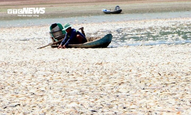Hơn 100 tấn cá chết trắng lòng hồ Sông Mây, Đồng Nai - Ảnh 2.