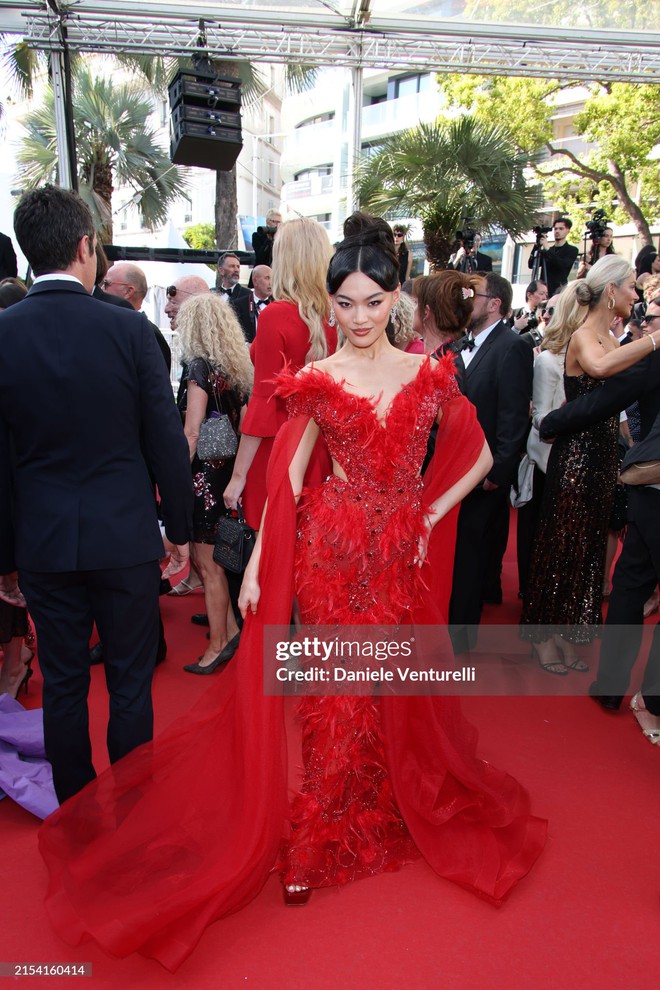 Thảm đỏ Cannes ngày 9: Hoa hậu Pia Wurtzbach hóa Cinderella, nữ ca sĩ hạng A tái xuất sau phốt quát tháo nhân viên - Ảnh 30.