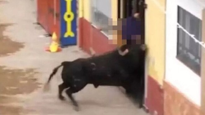 Người đàn ông bị bò húc chết tại lễ hội đua bò Tây Ban Nha - Ảnh 1.