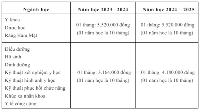 Trường Y khoa Phạm Ngọc Thạch lần đầu xét tuyển tổ hợp có môn Văn - Ảnh 2.