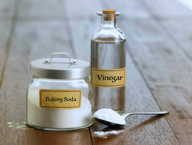 T&aacute;c hại của những con c&ocirc;n tr&ugrave;ng nhỏ n&agrave;y trong ph&ograve;ng tắm - Ảnh 3.