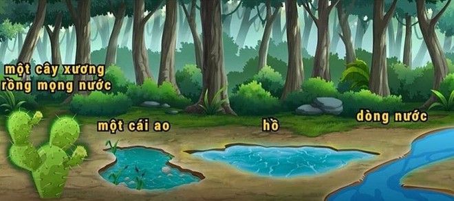 C&acirc;u hỏi phỏng vấn v&agrave;o c&ocirc;ng ty top 1 thế giới, đố bạn giải được? - Ảnh 1.