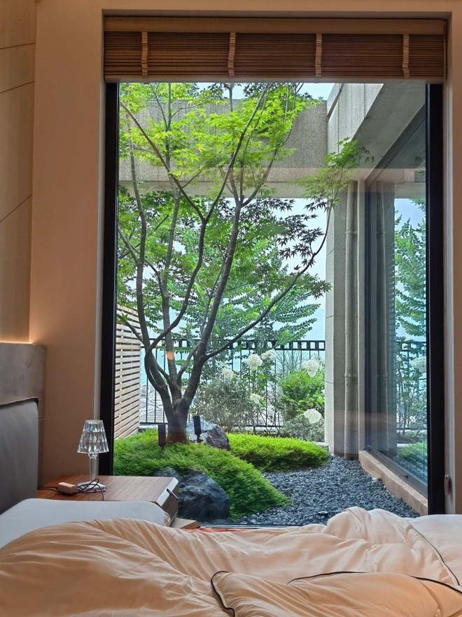 Căn hộ có chiếc view đẹp như tranh, không gian phủ màu xanh khiến netizen nức nở: Mê cách yêu thiên nhiên của nữ chủ nhân - Ảnh 1.