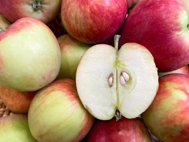 4 loại trái cây không nên ăn hạt vì có chứa chất độc, có loại còn gây hôn mê do hạ đường huyết - Ảnh 1.