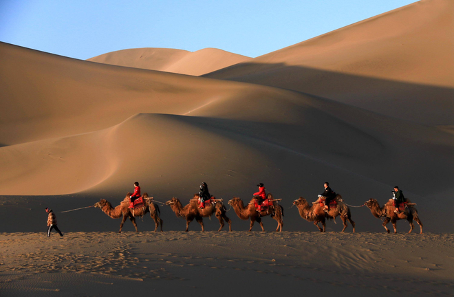 Lắp đèn đỏ giữa sa mạc tránh kẹt” lạc đà, du khách vẫn điêu đứng vì tắc đường: 5 phút nhích được 2 bước! - Ảnh 2.