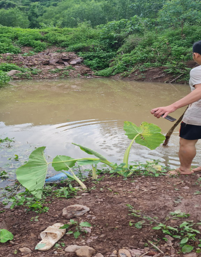 Bắc Giang: Xuống hố cứu 2 cháu nội đuối nước nhưng cũng gặp nạn, 3 ông cháu tử vong thương tâm - Ảnh 1.