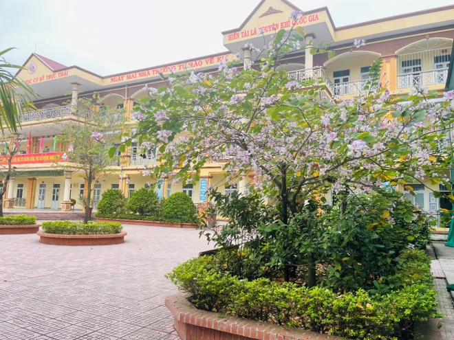 Đất học Nam Định có 1 ngôi trường khiến mọi trái tim phải rung rinh: Sao mà đẹp quá đỗi! Từ cổng vào xanh ngát bóng cây - Ảnh 5.