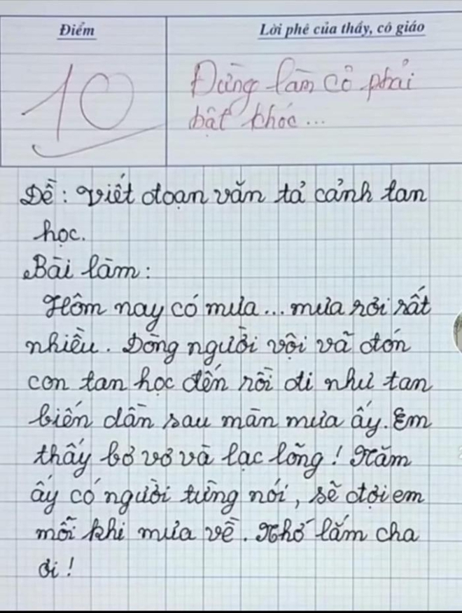 Học sinh tiểu học viết bài văn, chỉ 8 dòng mà khiến cô giáo bật khóc và lập tức chấm 10 điểm - Ảnh 1.