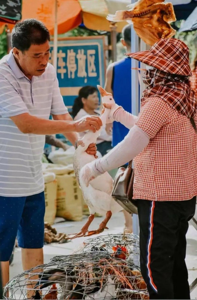 Xu hướng tiêu dùng mới của những người ở thành phố lớn: Đi chợ quê có thể tiết kiệm 3 đến 7 triệu/tháng - Ảnh 7.