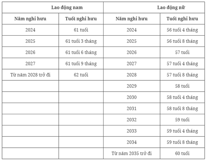 Tuổi nghỉ hưu của lao động nam v&agrave; nữ năm 2024 l&agrave; bao nhi&ecirc;u? - Ảnh 2.