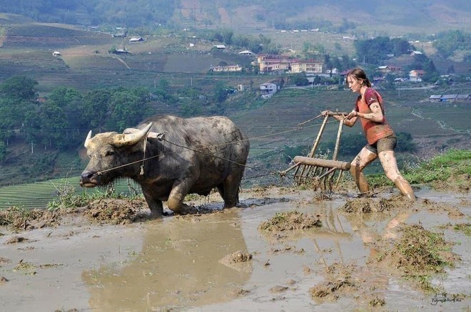 Không du lịch hưởng thụ nữa, khách Tây tới Việt Nam giờ lại thích những hoạt động này!- Ảnh 2.