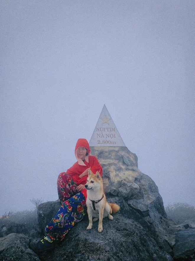 Chú chó thành idol mạng nhờ chinh phục 7 ngọn núi khó trèo ở Việt Nam - Ảnh 8.
