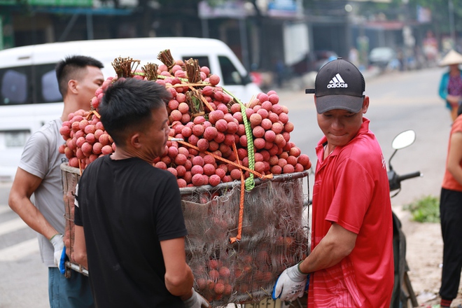Bắc Giang: Người dân phấn khởi vì giá vải thiều cao chưa từng có, gần 100.000 đồng/kg - Ảnh 6.