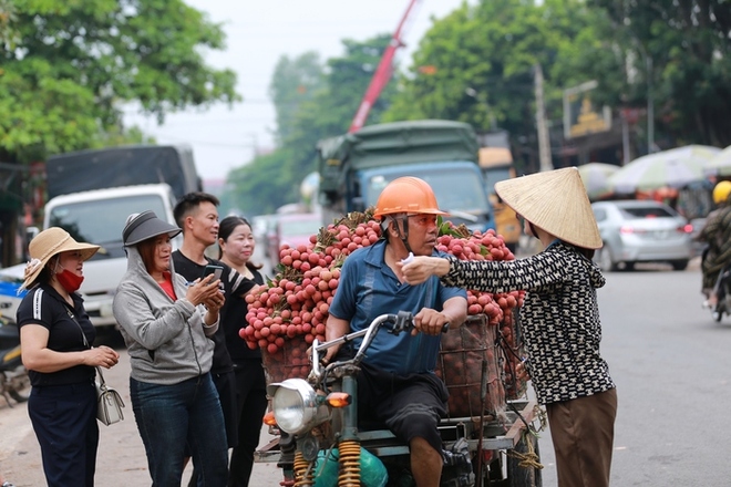 Bắc Giang: Người dân phấn khởi vì giá vải thiều cao chưa từng có, gần 100.000 đồng/kg - Ảnh 2.