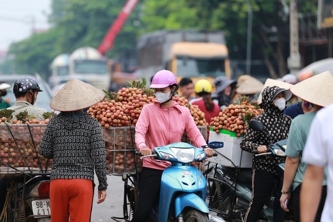 Bắc Giang: Người dân phấn khởi vì giá vải thiều cao chưa từng có, gần 100.000 đồng/kg - Ảnh 1.