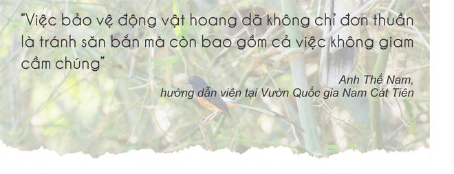 Mùa hè vào Vườn Quốc gia Nam Cát Tiên ngắm thú đêm, xem bướm - Ảnh 17.