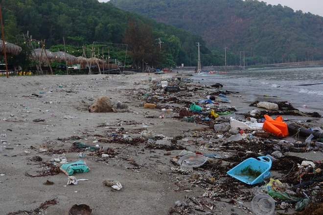 Bãi tắm ở Cát Bà tràn ngập rác thải, du khách nước ngoài nói "thất vọng": Đây cũng là trách nhiệm của chúng ta- Ảnh 1.