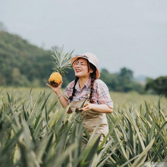 Check-in toạ độ đồi dứa Tam Điệp Ninh Bình - Ảnh 4.