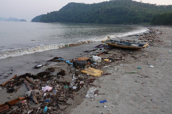 Bãi biển Cát Bà ngập rác, du khách nước ngoài bày tỏ thất vọng: Đây cũng là trách nhiệm của chúng tôi - Hình 6