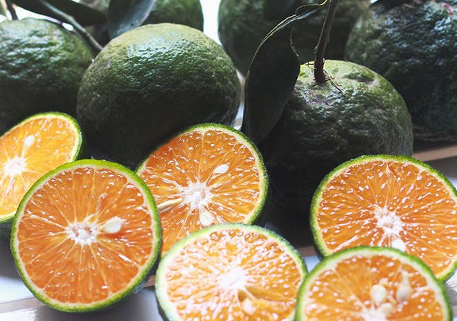 10 Obstsorten sind hochwertige Vitamine, die zur Aufhellung des Hauttons beitragen: Köstlich, Vietnam hat viele – Foto 3.
