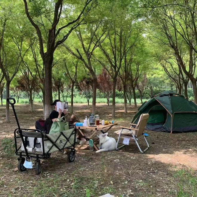 Thế hệ khởi đầu làn sóng xả stress: Làm việc 5 ngày/tuần, cuối tuần về quê làm ruộng - Ảnh 2.