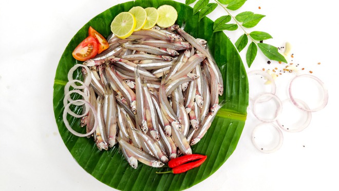 Loại cá là kho omega-3 và chất sắt cực tốt cho sức khỏe tim mạch, chợ Việt bán đầy giá lại rẻ - Ảnh 4.