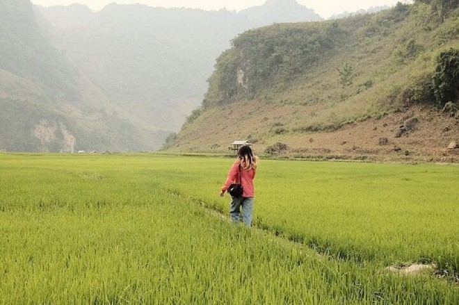 Khám phá vẻ đẹp hoang sơ trên cao nguyên đá Tủa Chùa - Ảnh 5.