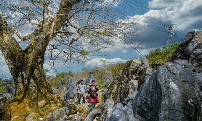 Khám phá vẻ đẹp hoang sơ trên cao nguyên đá Tủa Chùa - Ảnh 2.