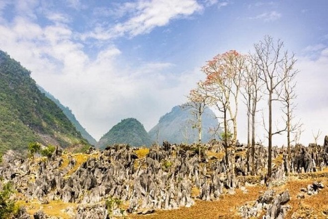 Khám phá vẻ đẹp hoang sơ trên cao nguyên đá Tủa Chùa - Ảnh 1.