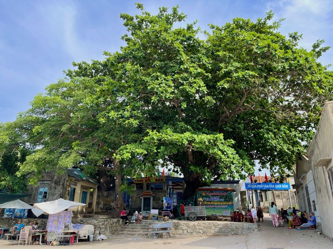 ‘Mắt biển’ ở vịnh Nha Trang có gì đặc biệt mà du khách thích mê? - Ảnh 12.