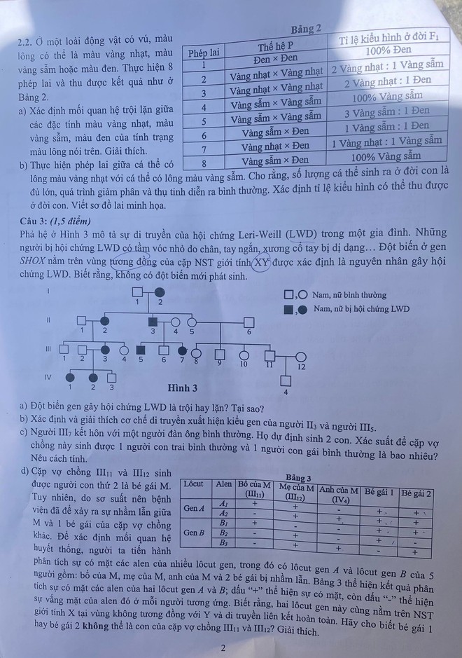 Đề thi Toán, Sinh học vào lớp 10 THPT chuyên Khoa học Tự nhiên Hà Nội - Ảnh 3.